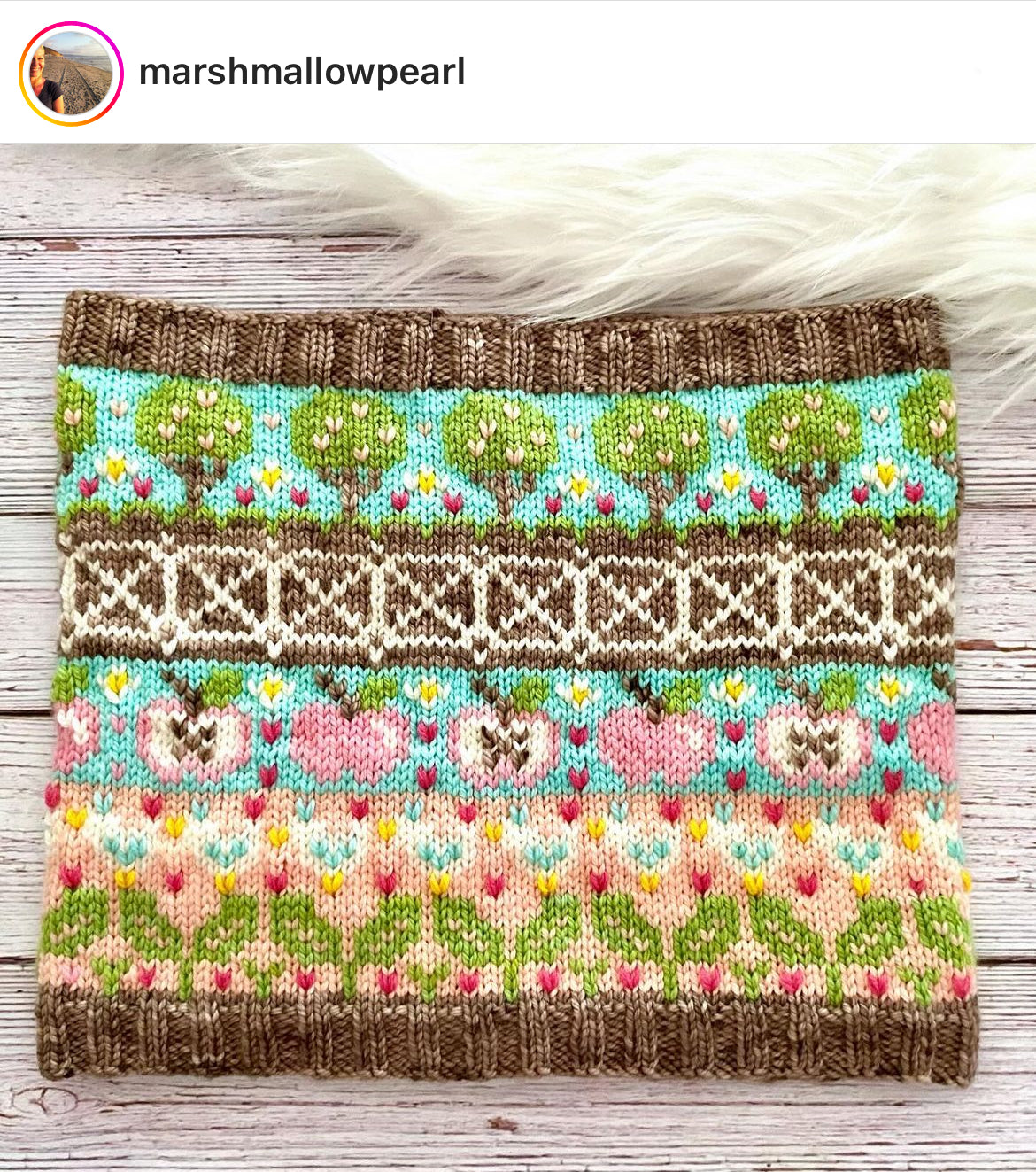 Farm Doodle (Standard Cowl)
