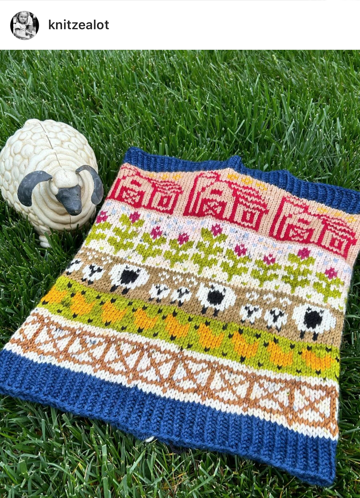 Farm Doodle (Standard Cowl)
