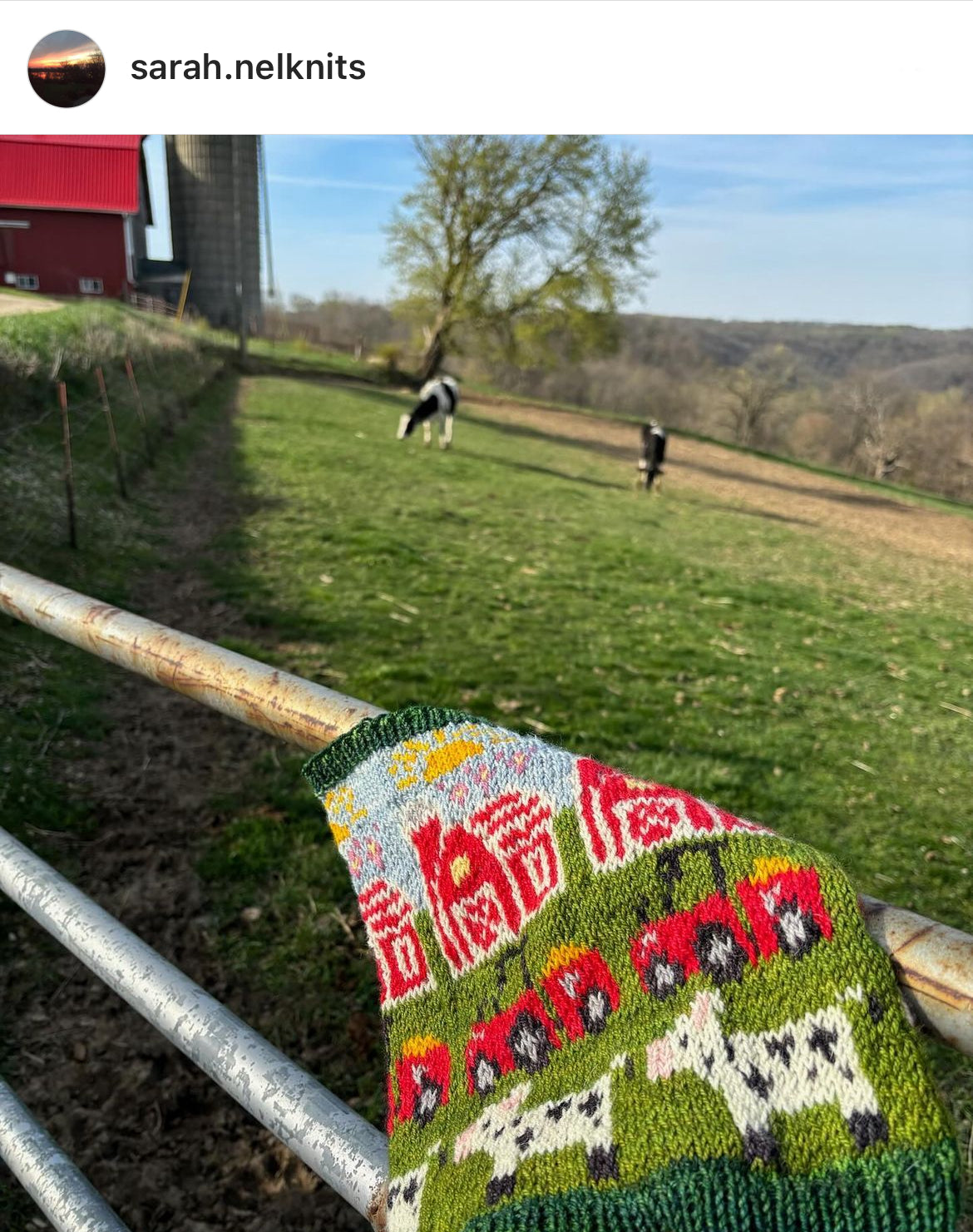 Farm Doodle (Standard Cowl)