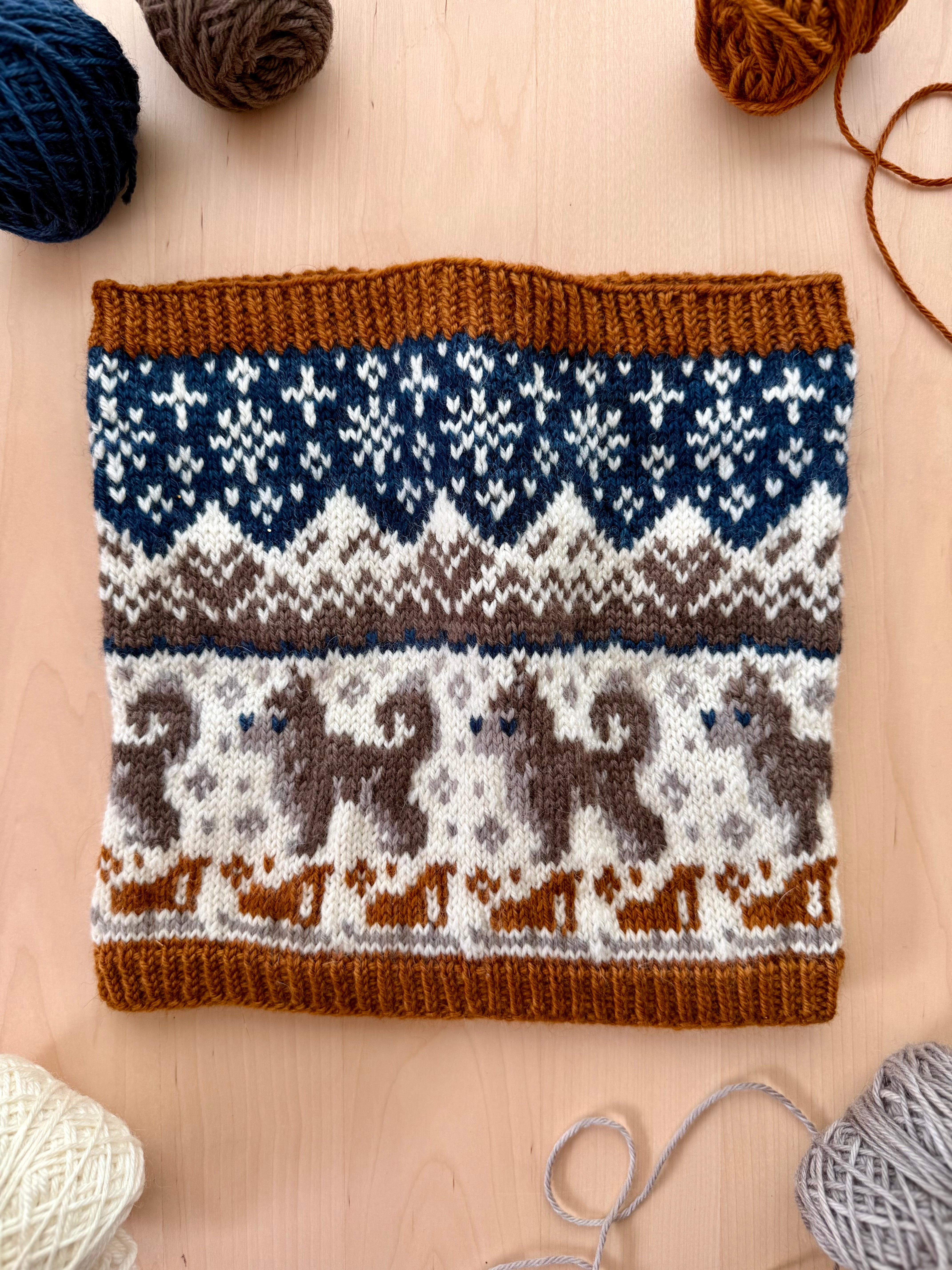 Alaska Doodle (Standard Cowl)
