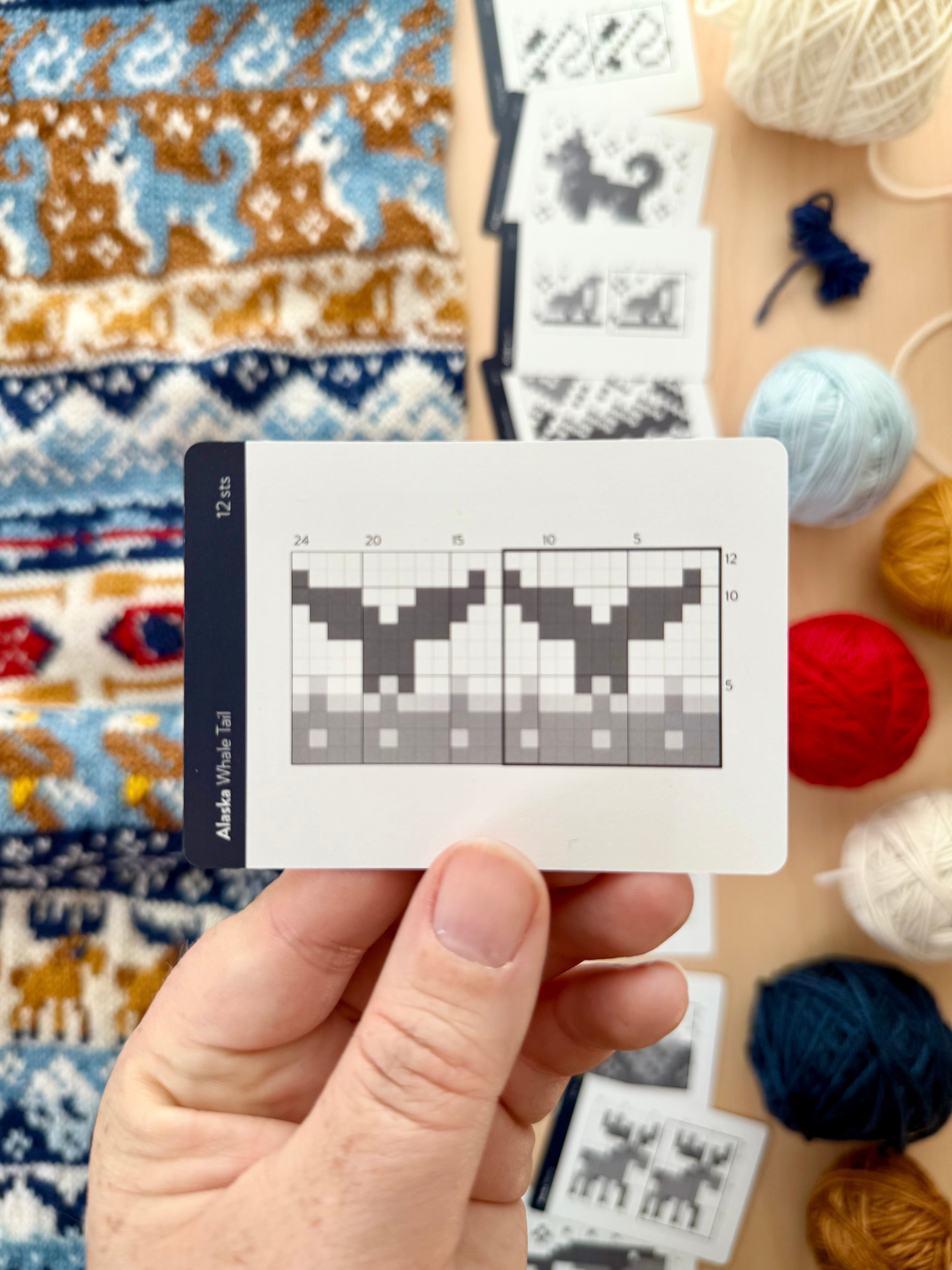 Doodle Card Deck - Alaska Destination