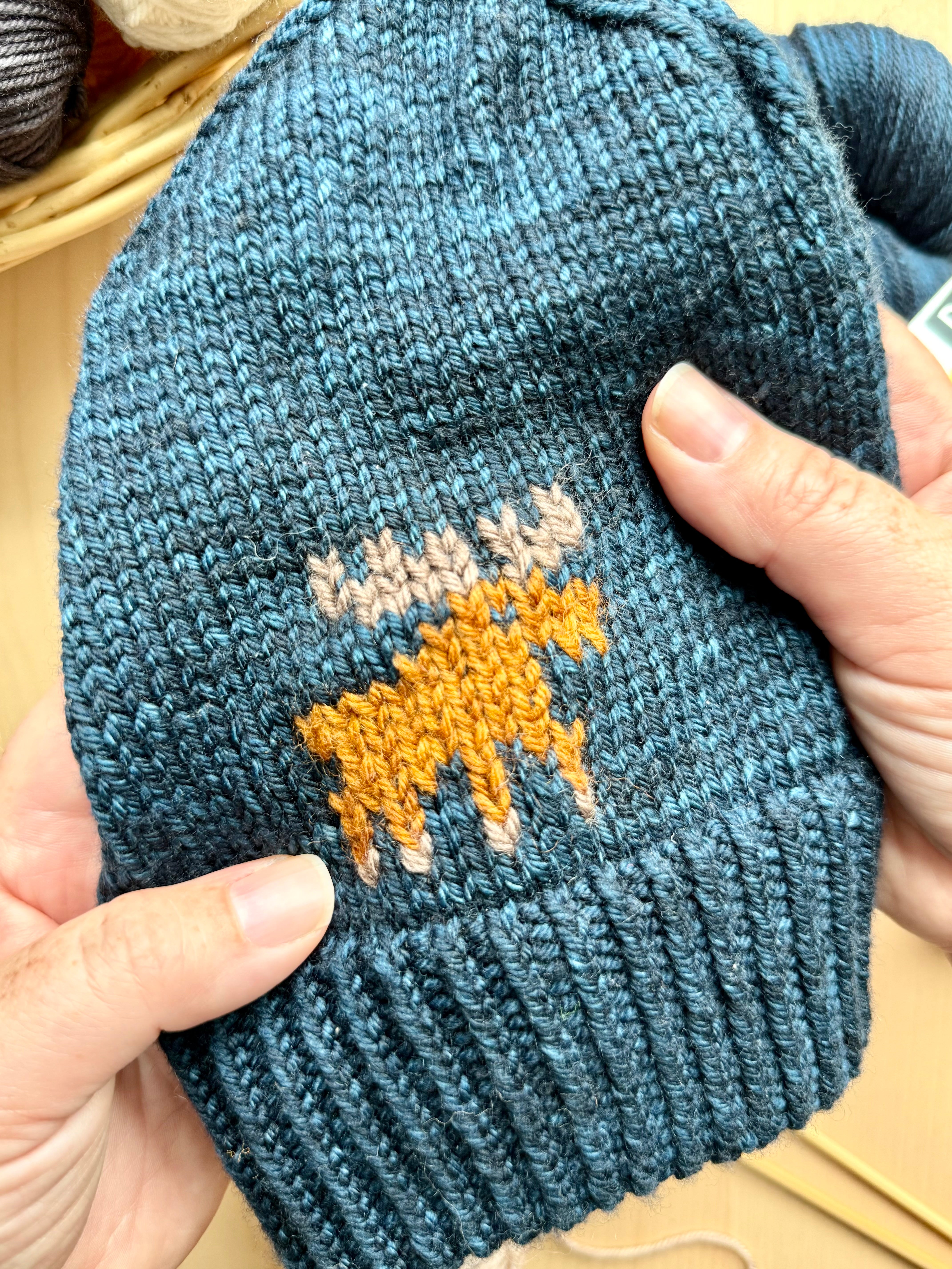 Duplicate Stitch Moose Hat: Project + Yarn Kit