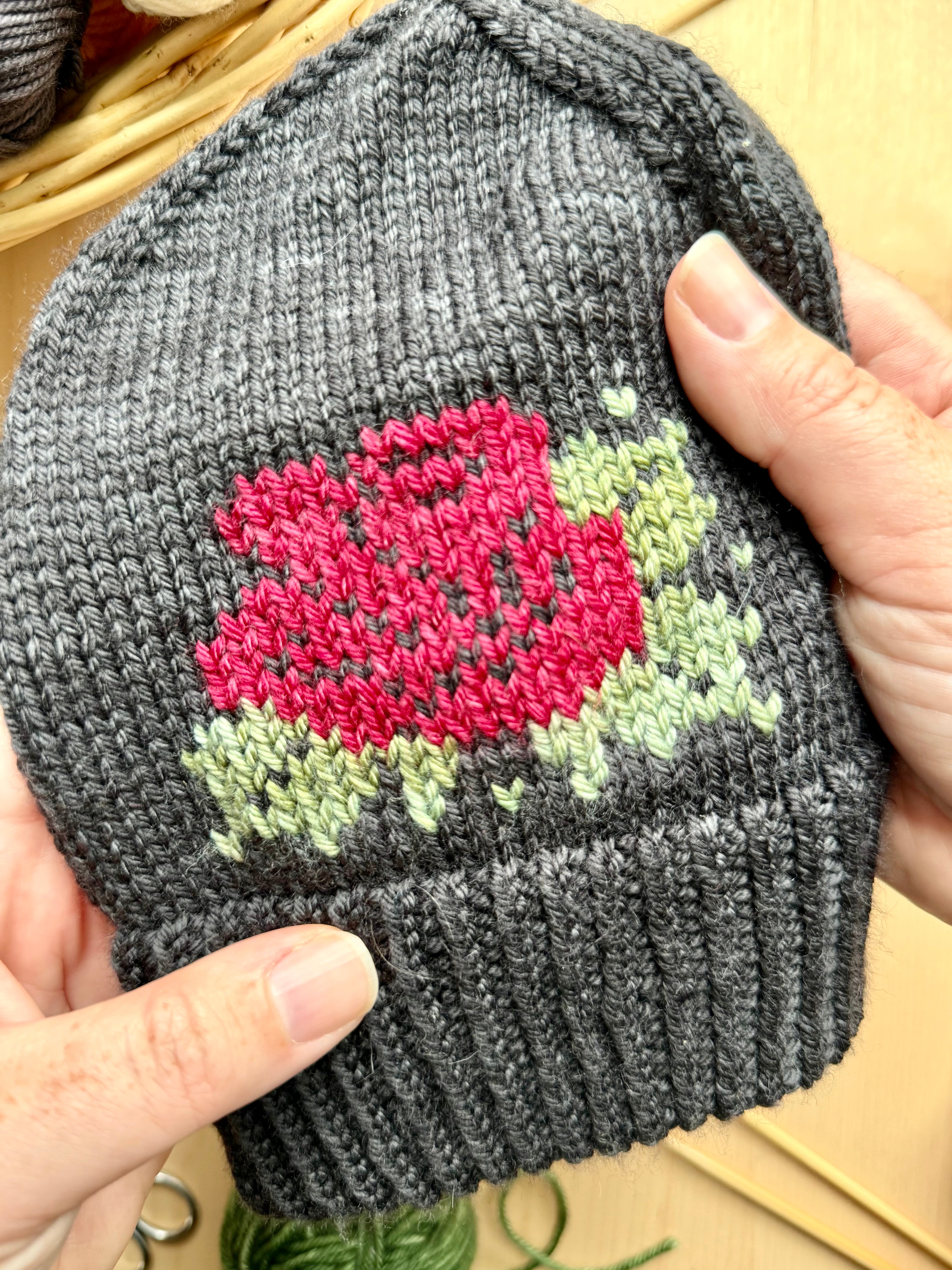 Duplicate Stitch Rose Hat: Project + Yarn Kit