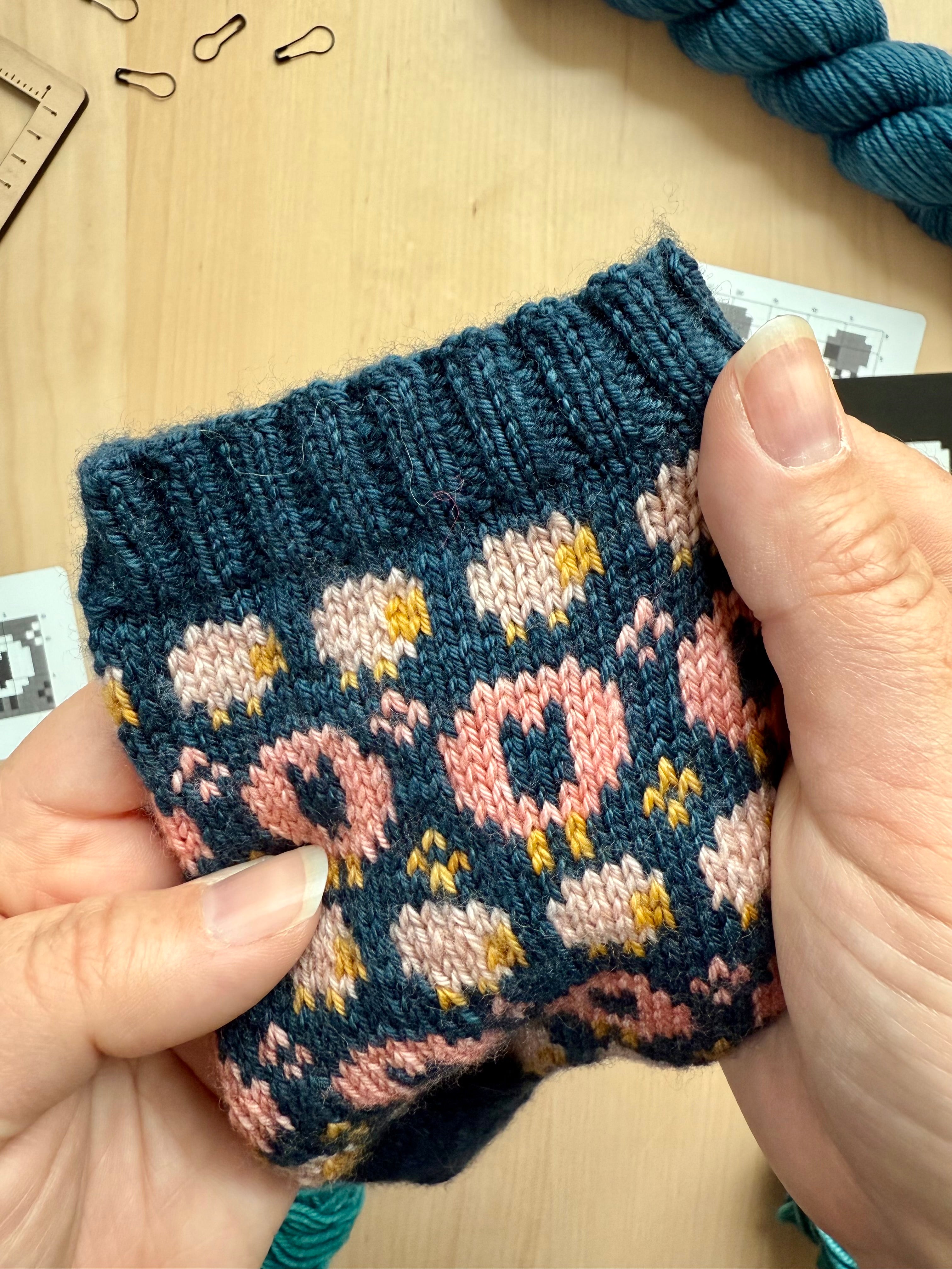 Rhinebeck Doodle (Socks)