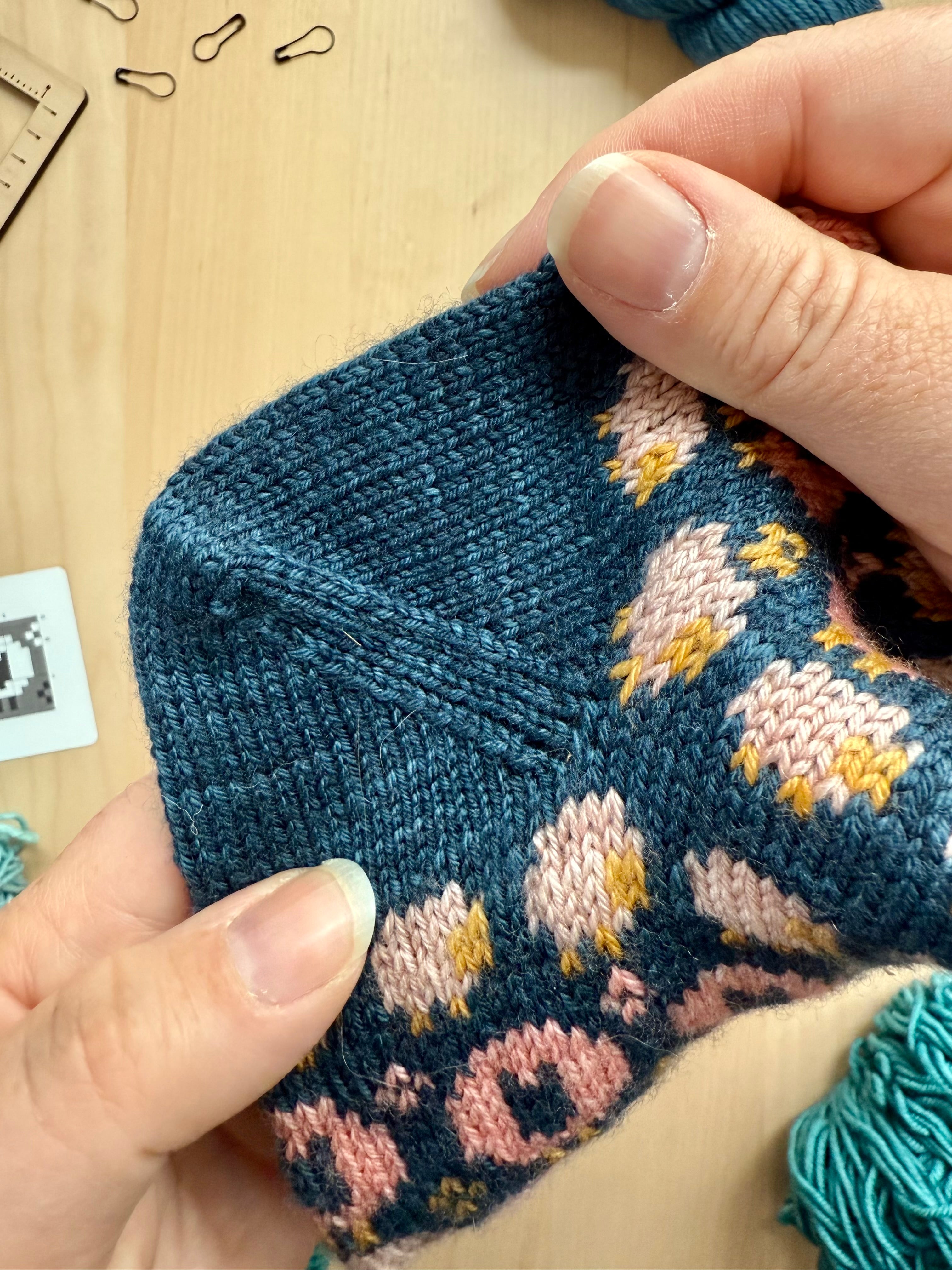 Rhinebeck Doodle (Socks)