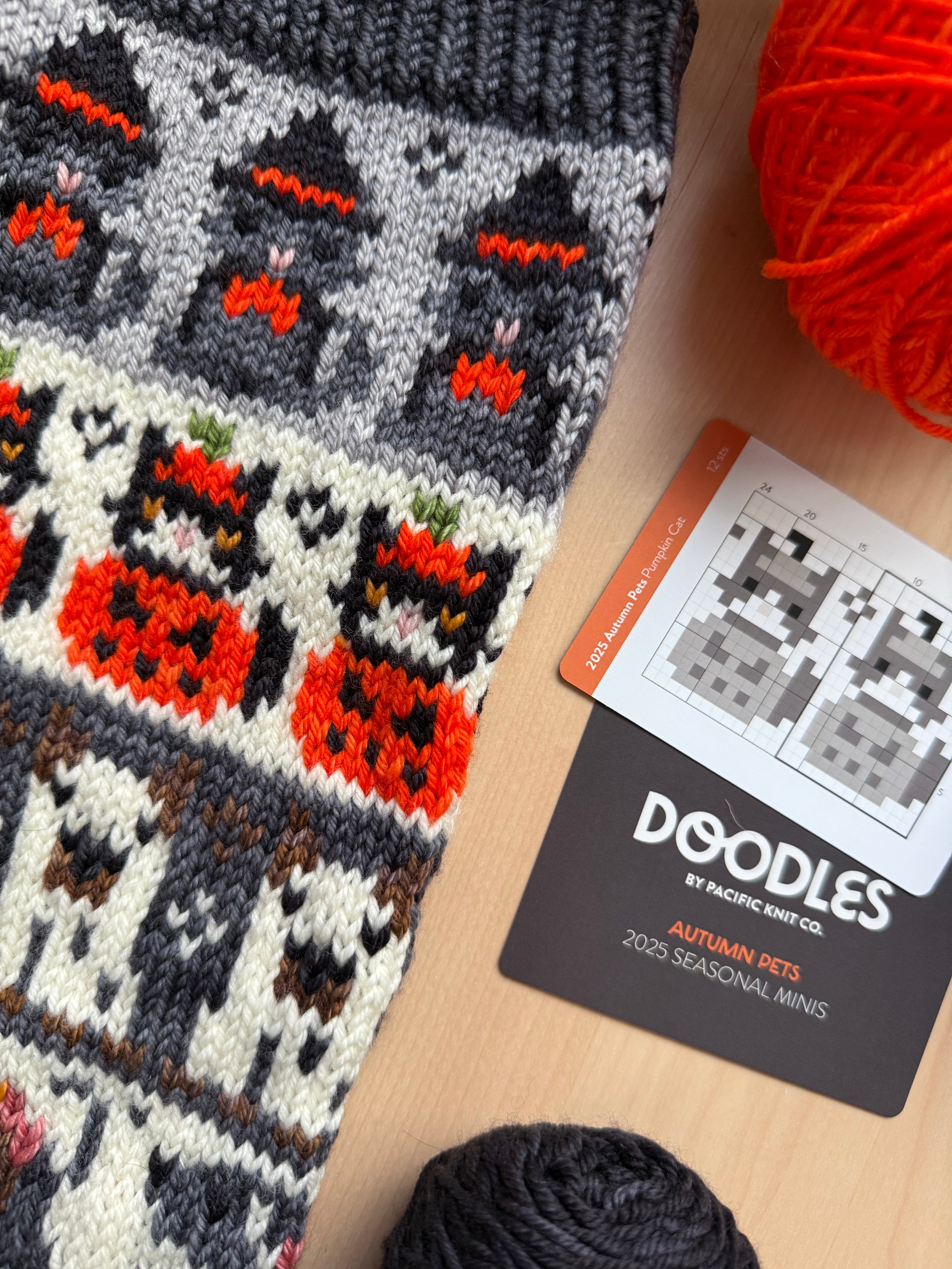 Doodle Card Deck - 2025 Autumn Pets Mini Deck