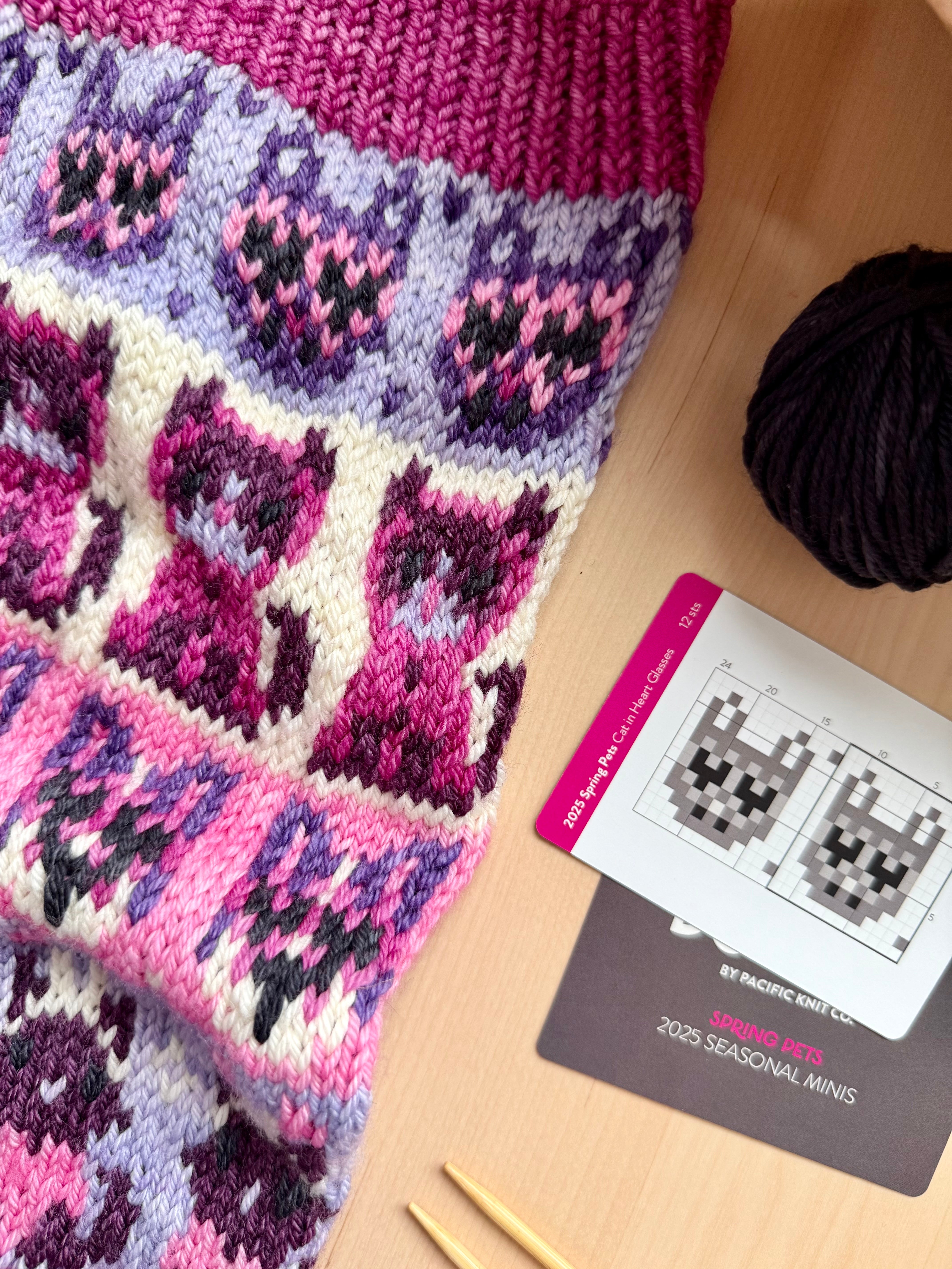 Doodle Card Deck - 2025 Spring Pets Mini Deck