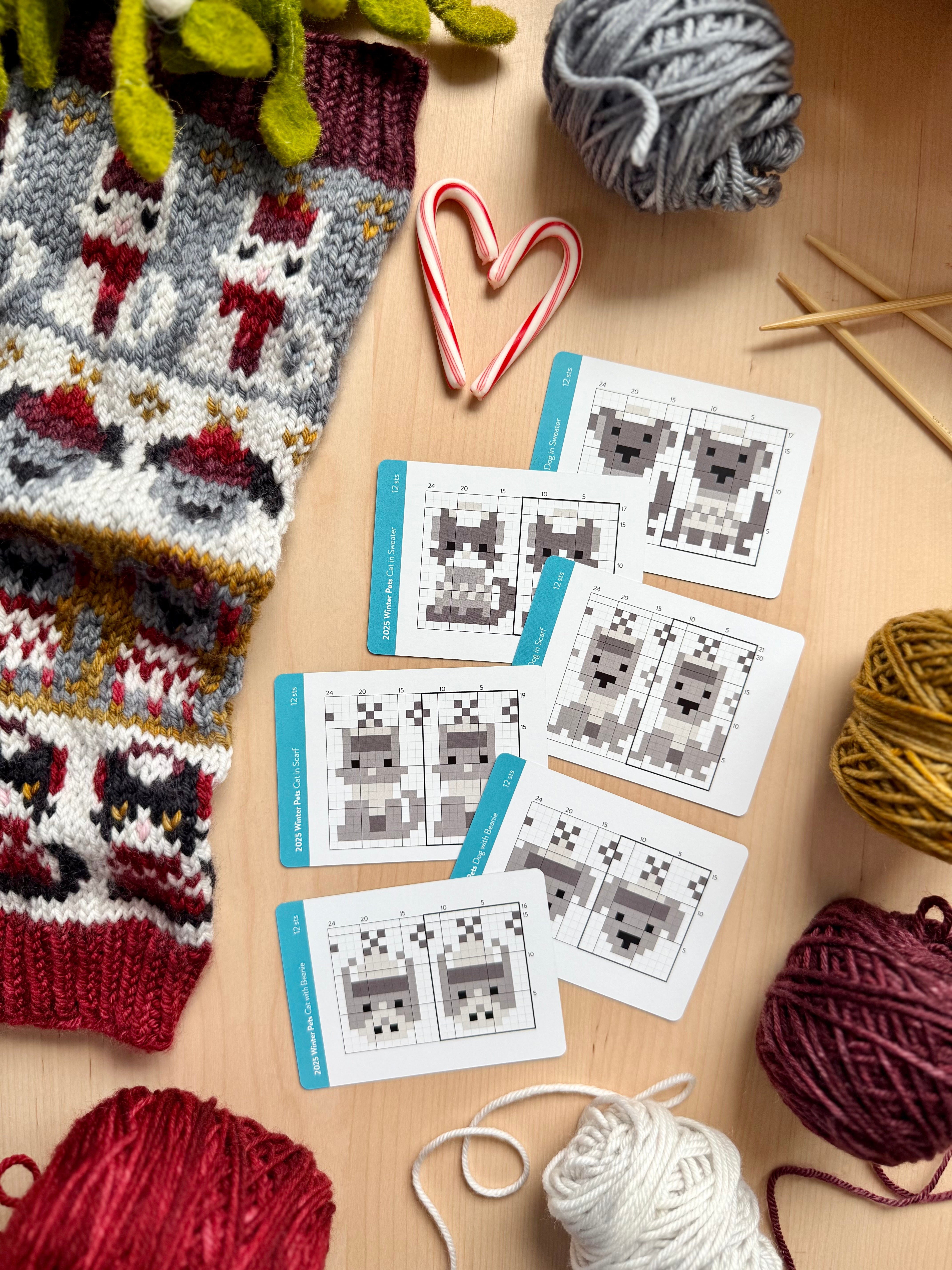 Doodle Card Deck - 2025 Winter Pets Mini Deck
