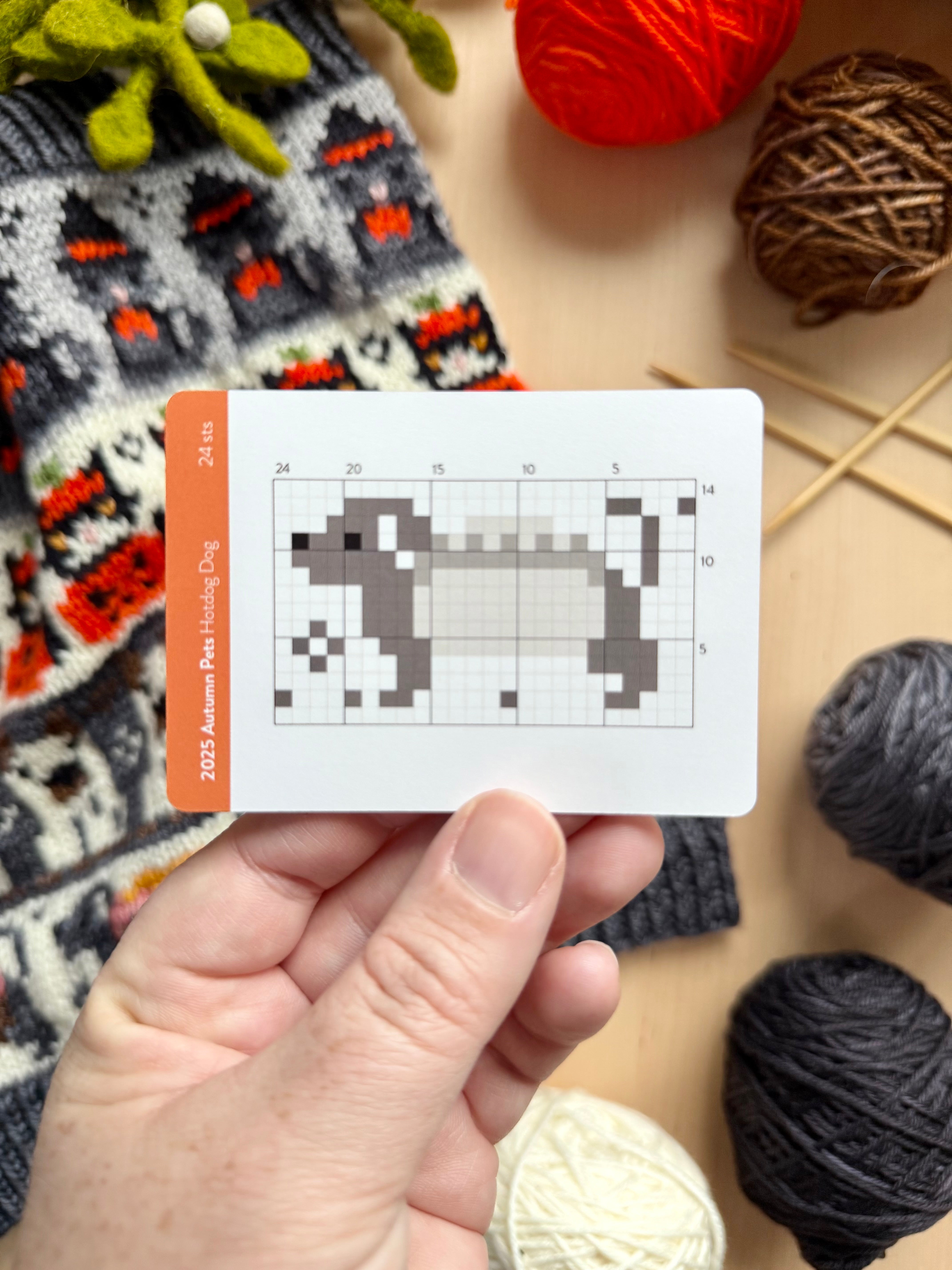 Doodle Card Deck - 2025 Autumn Pets Mini Deck